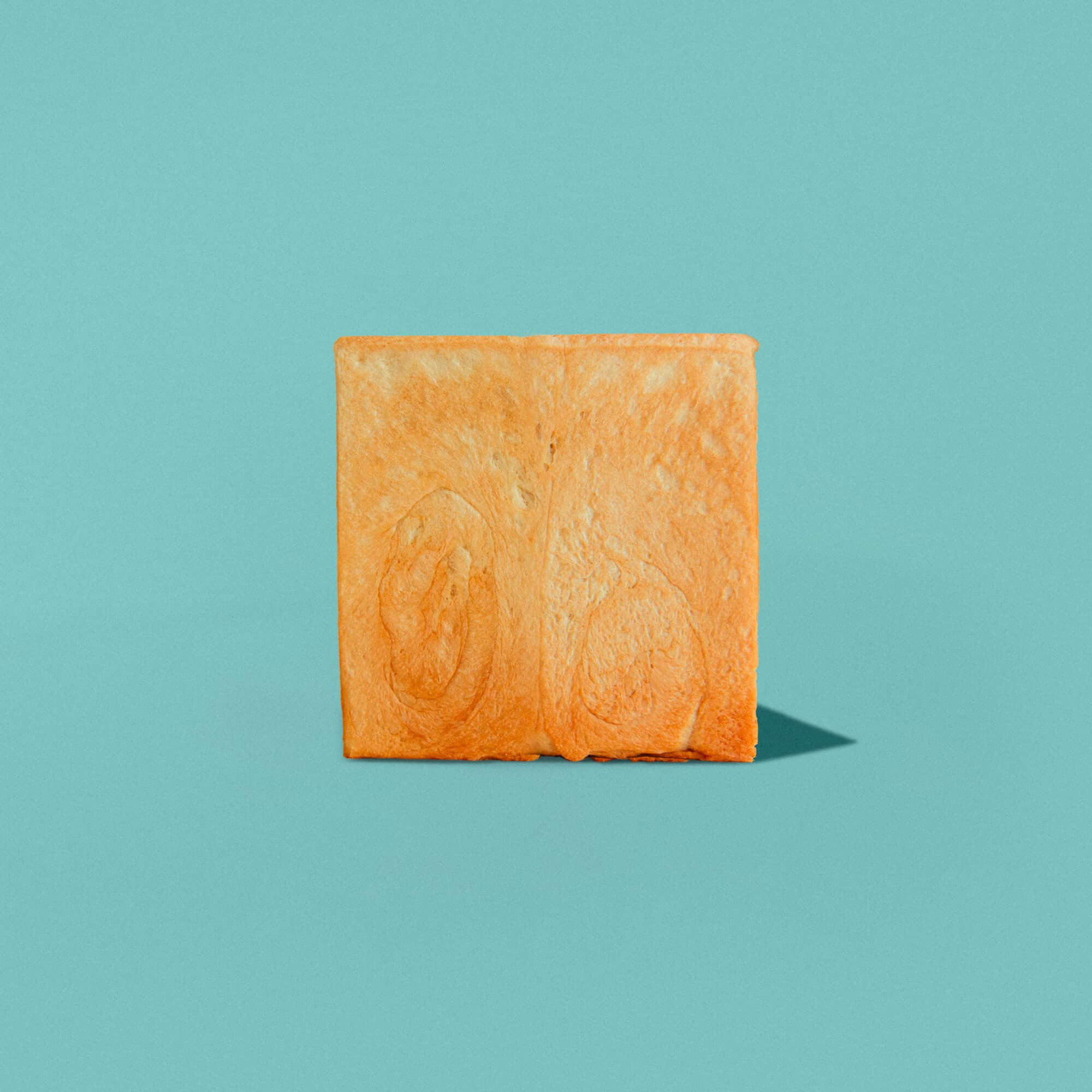 Almond Milk Bread Basic / 1 loaf