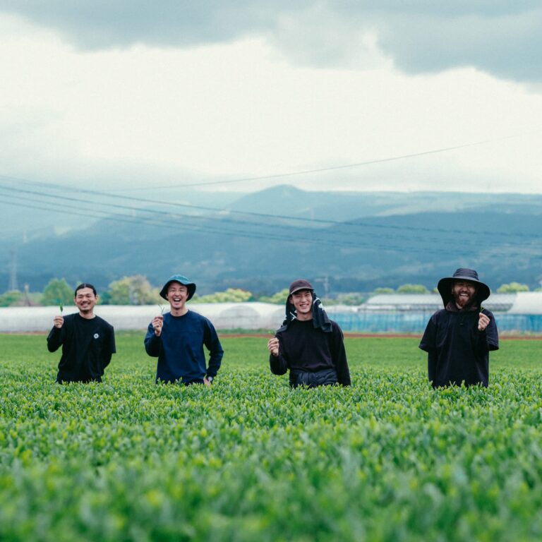 Authentic Japanese Tea Available Soon